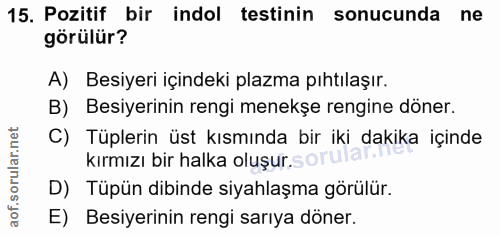 15. soru: Pozitif bir indol testinin sonucunda ne görülür? A) Besiyeri içindeki plazma pıhtılaşır. B) Besiyerinin rengi menekşe…