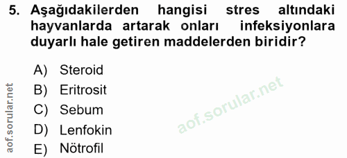 5. soru: Aşağıdakilerden hangisi stres altındaki hayvanlarda artarak onları ineksiyonlara duyarlı hale getiren maddelerden bir…
