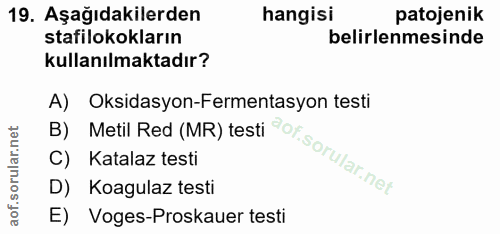 19. soru: Aşağıdakilerden hangisi patojenik stafilokokların belirlenmesinde kullanılmaktadır? A) Oksidasyon-Fermentasyon testi…