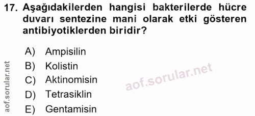 17. soru: Aşağıdakilerden hangisi bakterilerde hücre duvarı sentezine mani olarak etki gösteren antibiyotiklerden biridir? A) A…