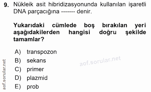 9. soru: Nükleik asit hibridizasyonunda kullanılan işaretli DNA parçacığına --_ denir. Yukarıdaki cümlede boş bırakılan yeri a…