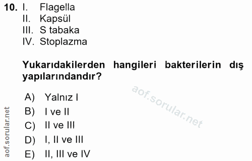 10. soru: I. Flagella II. Kapsül III. S tabaka IV. Stoplazma Yukarıdakilerden hangileri bakterilerin dış yapılarındandır? A) Ya…