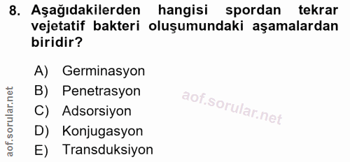 8. soru: Aşağıdakilerden hangisi spordan tekrar vejetatif bakteri oluşumundaki aşamalardan biridir? A) Germinasyon B) Penetras…