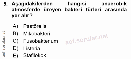 5. soru: Aşağıdakilerden hangisi anaerobik atmosferde üreyen bakteri türleri arasında yer alır? A) Pastörella B) Mikobakteri C…