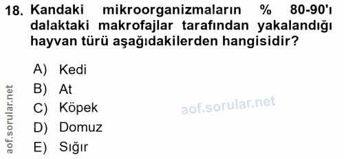 18. soru: Kandaki mikroorganizmaların % 80-901 dalaktaki makrofajlar tarafından yakalandığı hayvan türü aşağıdakilerden hangisi…