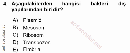 4. soru: Aşağıdakilerden hangisi bakteri dış yapılarından biridir? A) Plasmid B) Mesosom C) Ribosom D) Transpozon E) Fimbria