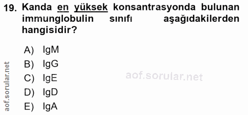 19. soru: Kanda en yüksek konsantrasyonda bulunan immunglobulin sinıfı aşağıdakilerden hangisidir? A) IgM B) IgG C) IgE D) IgD…