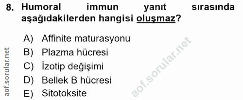 8. soru: Humoral immun yanıt sırasında aşağıdakilerden hangisi oluşmaz? A) Affinite maturasyonu B) Plazma hücresi C) İzotip de…