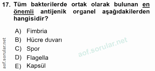 17. soru: Tüm bakterilerde ortak olarak bulunan en önemli antijenik organel aşağıdakilerden hangisidir? A) Fimbria B) Hücre duv…