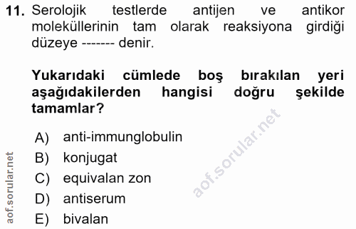 11. soru: Serolojik testlerde antijen ve antikor moleküllerinin tam olarak reaksiyona girdiği düzeye -- denir. Yukarıdaki cümle…