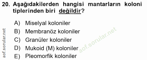 20. soru: Aşağıdakilerden hangisi mantarların koloni tiplerinden biri değildir? A) Miselyal koloniler B) Membranöz koloniler D)…