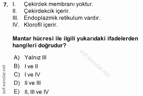 7. soru: I. Çekirdek membranı yoktur. Il. Çekirdekcik içerir. IlI. Endoplazmik retikulum vardır. IV. Klorofil içerir. Mantar h…