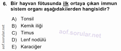 6. soru: Bir hayvan fötusunda ilk ortaya çıkan immun sistem organı aşağıdakilerden hangisidir? A) Tonsil B) Kemik iliği C) Tim…
