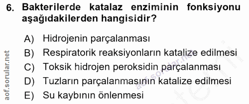 6. soru: Bakterilerde katalaz enziminin fonksiyonu aşağıdakilerden hangisidir? A) Hidrojenin parçalanması B) Respiratorik reak…