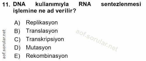 11. soru: DNA kullanımıyla RNA sentezlemesi işlemine ne ad verilir? A) Replikasyon B) Translasyon C) Transkripsiyon D) Mutasyon…