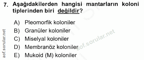 7. soru: Aşağıdakilerden hangisi mantarların koloni tiplerinden biri değildir? A) Pleomorfik koloniler B) Granüler koloniler C…