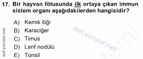 17. soru: Bir hayvan ötusunda ilk ortaya çıkan immun sistem organı aşağıdakilerden hangisidir? A) Kemik iliği B) Karaciğer C) T…