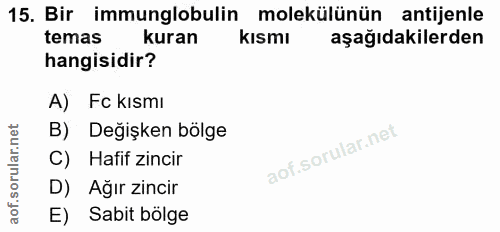 15. soru: Bir immunglobulin molekülünün antijenle temas kuran kısmı aşağıdakilerden hangisidir? A) Fc kısmı B) Değişken bölge C…