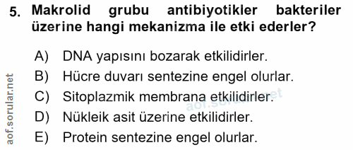 5. soru: Makrolid grubu antibiyotikler bakteriler üzerine hangi mekanizma ile etki ederler? A) DNA yapısını bozarak etkilidirl…