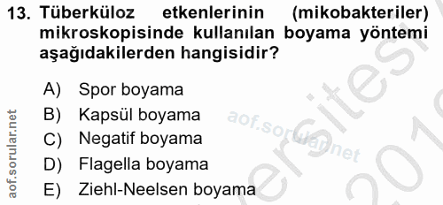 13. soru: Tüberküloz etkenlerinin (mikobakteriler) mikroskopsinde kullanılan boyama yöntemi aşağıdakilerden hangisidir? A) Spor…