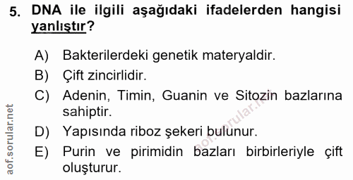 5. soru: DNA ile ilgili aşağıdaki ifadelerden hangisi yanlıştır? A) Bakterilerdeki genetik materyaldir. B) Çift zincirlidir. C…