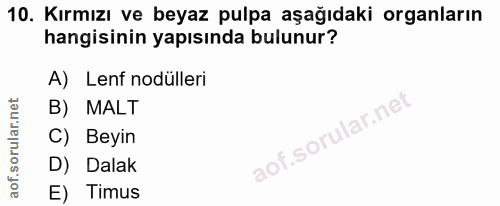 10. soru: Kırmızı ve beyaz pulpa aşağıdaki organların hangisinin yapısında bulunur? A) Lenf odülleri B) MALT C) Beyin D) Dalak…