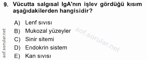 9. soru: Vücutta salgısal gA'nın işlev gördüğü kısım aşağıdakilerden hangisidir? A) Lenf sıvisı B) Mukozal yüzeyler C) Sinir s…