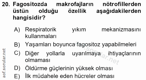 20. soru: Fagositozda makrofajların nötrofillerden üstün olduğu özellik aşağıdakilerden hangisidir? A) Respiratorik yıkım mekan…