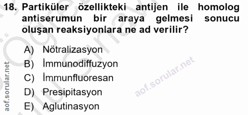 18. soru: Partiküler özellikteki antijen ile homolog antiserumun bir araya gelmesi sonucu oluşan reaksiyonlara ne ad verilir? A…