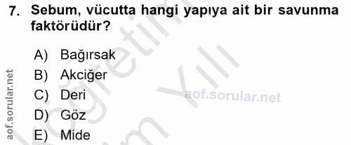 7. soru: Sebum, vücutta hangi yapıya ait bir savunma faktörüdür? A) Bağırsak B) Akciğer C) Deri gof. D) Göz E) Mide