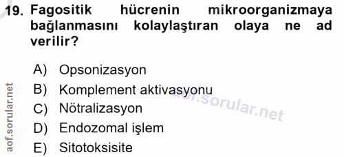 19. soru: Fagositik hücrenin mikroorganizmaya bağlanmasını kolaylaştıran olaya ne ad verilir? A) Opsonizasyon B) Komplement akt…