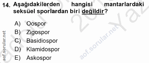 14. soru: Aşağıdakilerden hangisi mantarlardaki seksüel sporlardan biri değildir? A) Oospor B) Zigospor C) Basidiospor aof.soru…