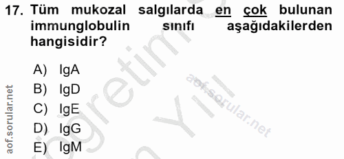 17. soru: Tüm mukozal salgılarda en çok bulunan immunglobulin sinıfi aşağıdakilerden hangisidir? A) IgA B)IgD C)IgE erular.net…
