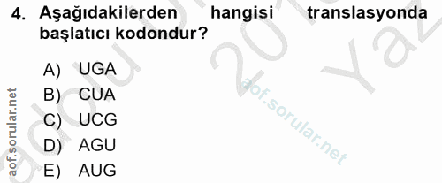 4. soru: Aşağıdakilerden hangisi translasyonda başlatıcı kodondur? A) UGA B) CUA C) UCG f. D) AGU E) AUG