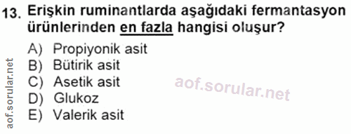 13. soru: Erişkin ruminantlarda aşağıdaki fermantasyon ürünlerinden en fazla hangisi oluşur? A) Propiyonik asit B) Bütirik asit…