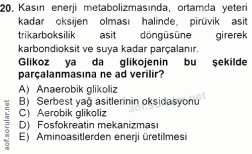 20. soru: Kasın enerji metabolizmasında, ortamda yeteri kadar oksijen olması halinde, pirüvik asit trikarboksilik asit döngüsün…