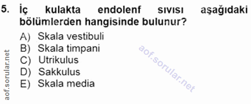 5. soru: iç kulakta endolenf SIVISI aşağıdaki bölümlerden hangisinde bulunur? A) Skala vestibuli B) Skala timpani C) Utrikulus…