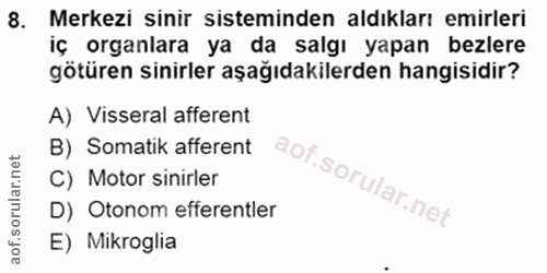 8. soru: Merkezi sinir sisteminden aldıkları emirleri iç organlara ya da salgı yapan bezlere götüren sinirler aşağıdakilerden…
