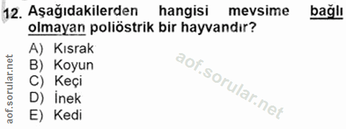12. soru: Aşağıdakilerden hangisi mevsime bağlı olmayan poliöstrik bir hayvandır? A) Kısrak B) Koyun C) Keçi D) inek E) Kedi