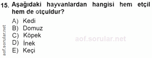 15. soru: Aşağıdaki hayvanlardan hangisi hem etçil hem de otçuldur? A) Kedi B) Domuz C) Köpek D) inek E) Keçi