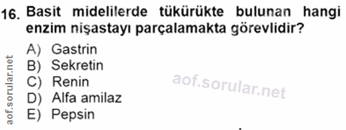 16. soru: Basit midelilerde tükürükte bulunan hangi enzim nişastayı parçalamakta görevlidir? A) Gastrin B) Sekretin C) Renin D)…