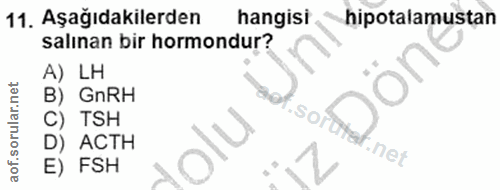 11. soru: Aşağıdakilerden hangisi hipotalamustan salınan bir hormondur? A) LH B) GnRH C) TSH •So D) ACTH •net E) FSH