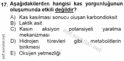 17. soru: Aşağıdakilerden hangisi kas yorgunluğunun oluşumunda etkili değildir? A) Kas kasılması sonucu oluşan karbondioksit B)…