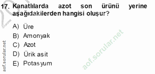 17. soru: Kanatlılarda azot son ürünü yerine aşağıdakilerden hangisi oluşur? A) Üre B) Amonyak C) Azot D) Ürik asit E) Potasyum