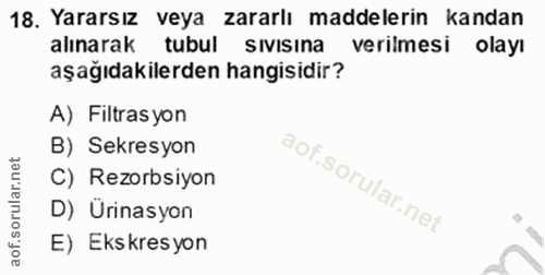 18. soru: Yararsız veya zararlı maddelerin kandan alınarak tubul sıvısına verilmesi olayı aşağıdakilerden hangisidir? A) Filtra…