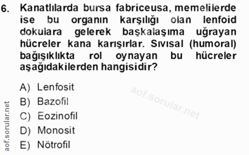 6. soru: Kanatlılarda bursa fabriceusa, memelilerde ise bu organın karşılığı olan lenfoid dokulara gelerek başkalaşıma uğrayan…