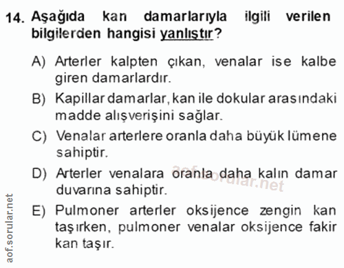 14. soru: Aşağıda kan damarlarıyla ilgili verilen bilgilerden hangisi yanlıştır? A) Arterler kalpten çıkan, venalar ise kalbe g…