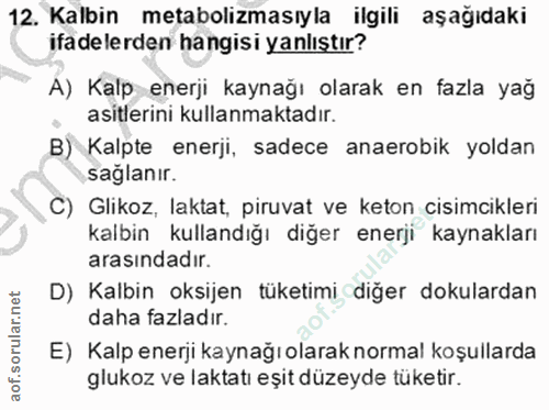 12. soru: Kalbin metabolizmasıyla ilgili aşağıdaki ifadelerden hangisi yanlıştır? A) Kalp enerji kaynağı olarak en fazla yağ as…