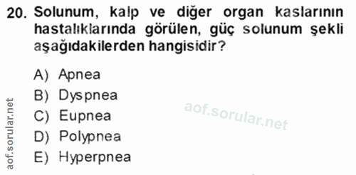 20. soru: Solunum, kalp ve diğer organ kaslarının hastalıklarında görülen, güç solunum şekli aşağıdakilerden hangisidir? A) Apn…