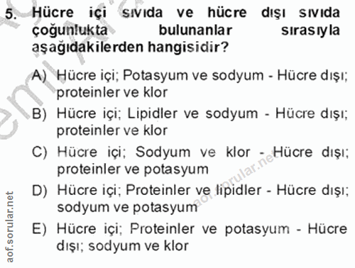 5. soru: Hücre içi sıvıda ve hücre dışı sıvıda çoğunlukta bulunanlar sırasıyla aşağıdakilerden hangisidir? A) Hücre içi; Potas…